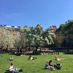 Björns trädgård