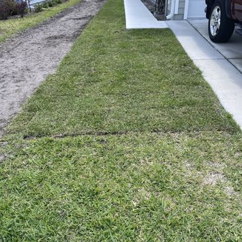 Big Daddy’s Palm Trees - New sod on the side yard - Landscaping Near Me Big Daddy’s Palm Trees - New sod on the side yard - Landscaping Near Me