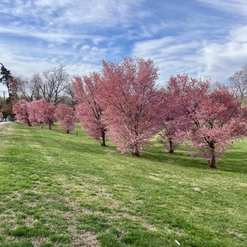 Oxon Run Park - Parks Near Me - Washington, DC, District of Columbia