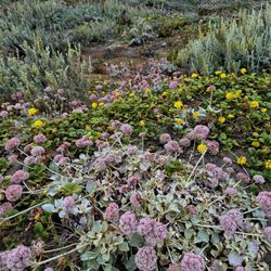 Humboldt Coastal Nature Center