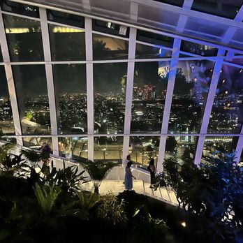 Sky Garden - Sky Garden Night Views - Landmarks & Historical Buildings Near Me - London, XGL Sky Garden - Sky Garden Night Views - Landmarks & Historical Buildings Near Me - London, XGL