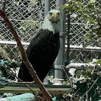 Wildhaven Ranch - Zoos Near Me - Cedar Glen, California Wildhaven Ranch - Zoos Near Me - Cedar Glen, California
