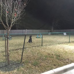 Dog park with hoops to jump through. Fenced in