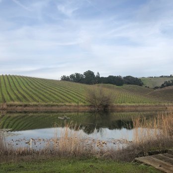 Truchard Vineyards - Wineries Near Me - Napa, California Truchard Vineyards - Wineries Near Me - Napa, California