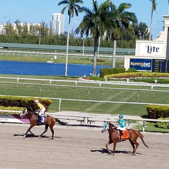 Gulfstream Park - Casinos Near Me - Hallandale Beach, Florida
