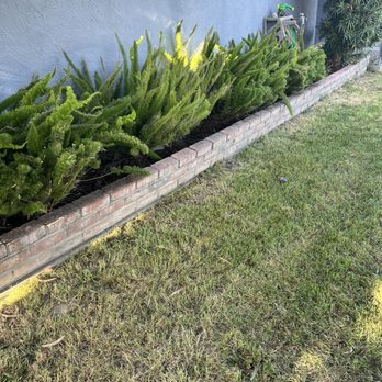 F & M Landscaping - After. - Landscaping Near Me F & M Landscaping - After. - Landscaping Near Me