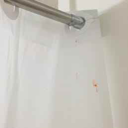 Blood on shower curtain Blood on shower curtain