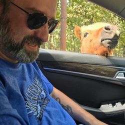 Branson's Promised Land Zoo