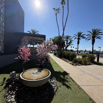 Nova Kitchen & Bar - Asian Fusion Near Me - Garden Grove, California
