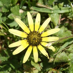 Hill Wildlife Reserve