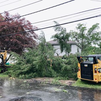Advanced Tree Care - This was the day the tree fell. Crazy how close it was to our house! - Tree Services Near Me - Ambler, Pennsylvania Advanced Tree Care - This was the day the tree fell. Crazy how close it was to our house! - Tree Services Near Me - Ambler, Pennsylvania