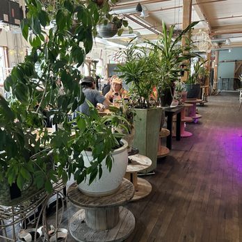 The Gorge Eatery - So many plants! - New American Near Me - Weissport, Pennsylvania