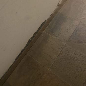 Associa Minnesota - More black mold - Property Management Near Me - Brooklyn Park, Minnesota Associa Minnesota - More black mold - Property Management Near Me - Brooklyn Park, Minnesota