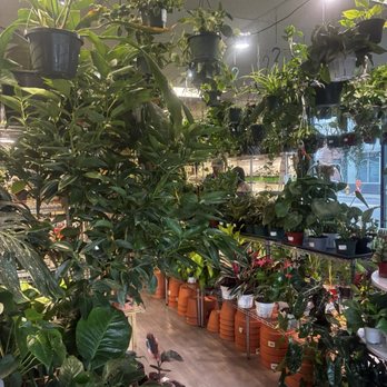 The Bronze Petal - Nurseries & Gardening Near Me - Denver, Colorado