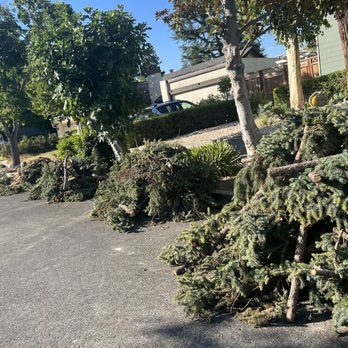 Ramirez Tree Service - Tree Services Near Me Ramirez Tree Service - Tree Services Near Me