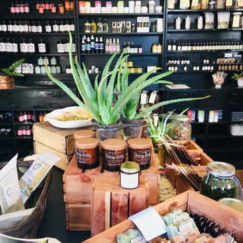 Wild Roots Apothecary - Herbal Shops Near Me - Sperryville, Virginia Wild Roots Apothecary - Herbal Shops Near Me - Sperryville, Virginia
