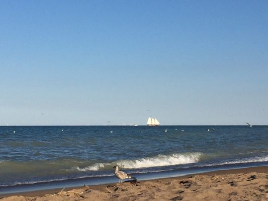 Pennoyer Park by null
