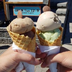 Ed & Rosie's Ice Cream - Kids vs small
