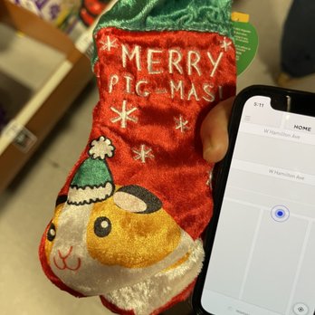 PetSmart - Christmas stocking - Pet Stores Near Me - Campbell, California
