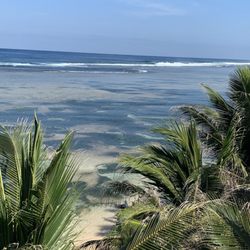 Sea View Resort