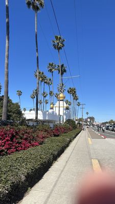 Swamis Seaside Park by null