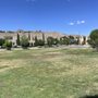 Madeline Park