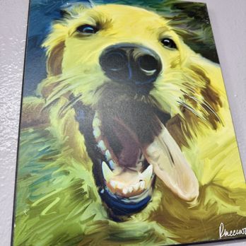 Get your Groom on - Pet Groomers Near Me - Ventura, California
