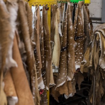 The Nugget - Select Hides - Leather Goods Near Me - San Antonio, Texas The Nugget - Select Hides - Leather Goods Near Me - San Antonio, Texas