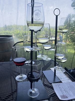 Bowers Harbor Vineyards by null