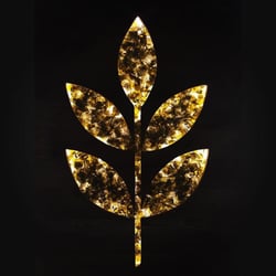 Evoolution