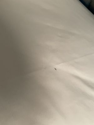 The Doyle Hotel by null