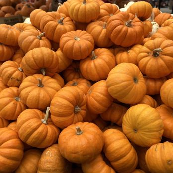 Trader Joe's - Grocery Near Me - Torrance, California Trader Joe's - Grocery Near Me - Torrance, California