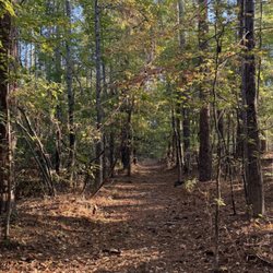 Elijah Clark State Park