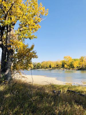 Inglewood Bird Sanctuary by null