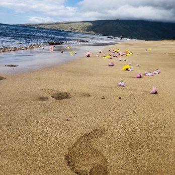 Sugar Beach - Beaches Near Me - Kihei, Hawaii