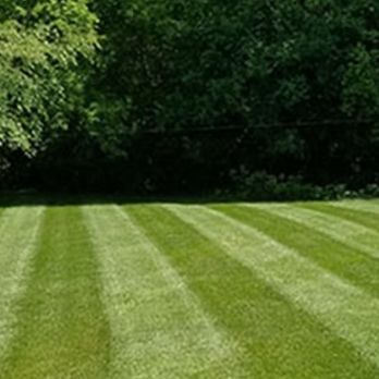 O'Neil's Property Services - green lawn - Landscaping Near Me O'Neil's Property Services - green lawn - Landscaping Near Me