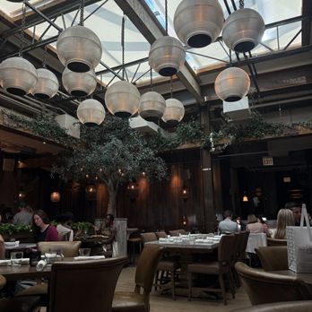 Aba - Vibe - Mediterranean Near Me - Chicago, Illinois