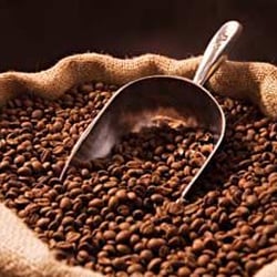 5th & Main Coffees