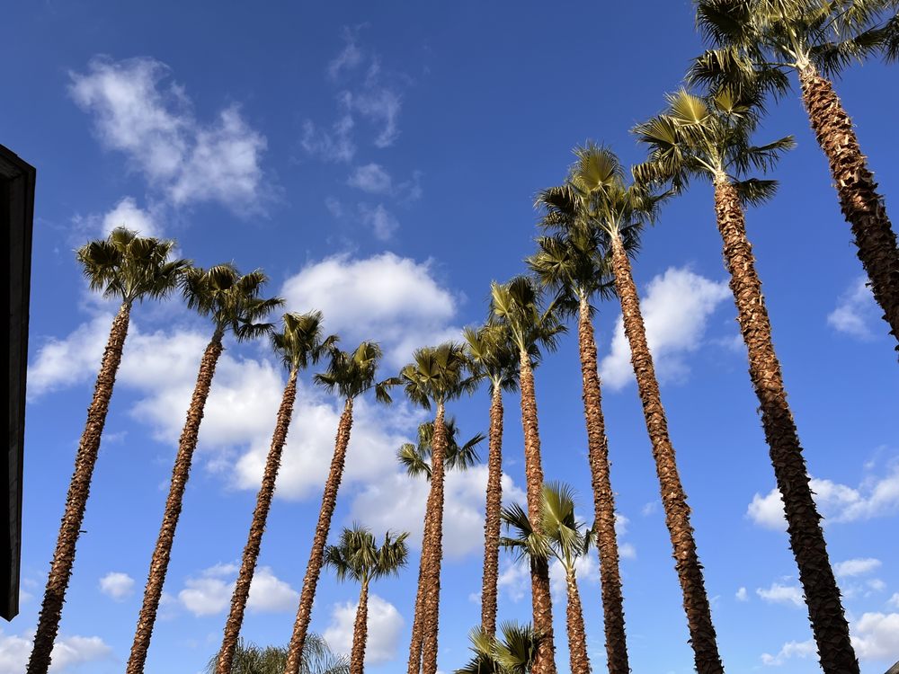 Gastelum Tree Service - tree service in Los Angeles, CA