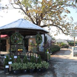 Hughes Plant Farm - 'Tis the Season to be jolly!