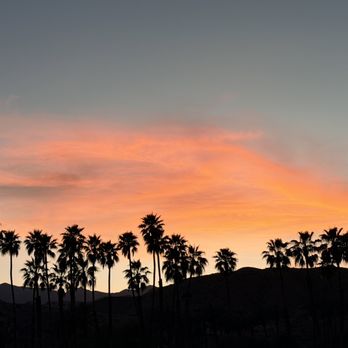 California Bistro - View from patio - Breakfast & Brunch Near Me - Rancho Mirage, California California Bistro - View from patio - Breakfast & Brunch Near Me - Rancho Mirage, California
