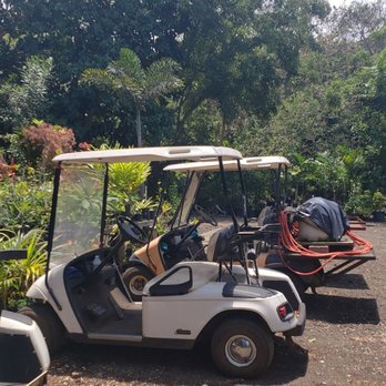 Koba's Nursery - FREE golf carts for customers to shop around in! So fun! - Nurseries & Gardening Near Me - Waimanalo, Hawaii