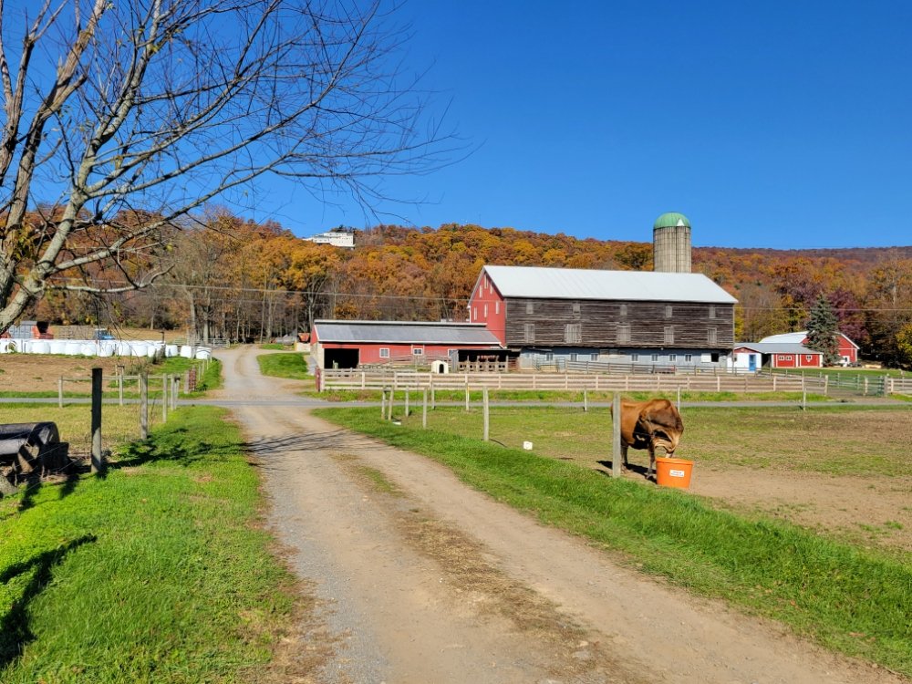 Long Lane Farm Stand Logo