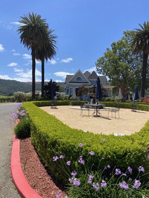 Vezér Family Vineyard - Blue Victorian by null