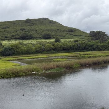 Hamakua Marsh - Landmarks & Historical Buildings Near Me Hamakua Marsh - Landmarks & Historical Buildings Near Me
