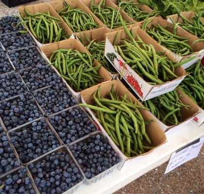 Columbia Farmers Market by null