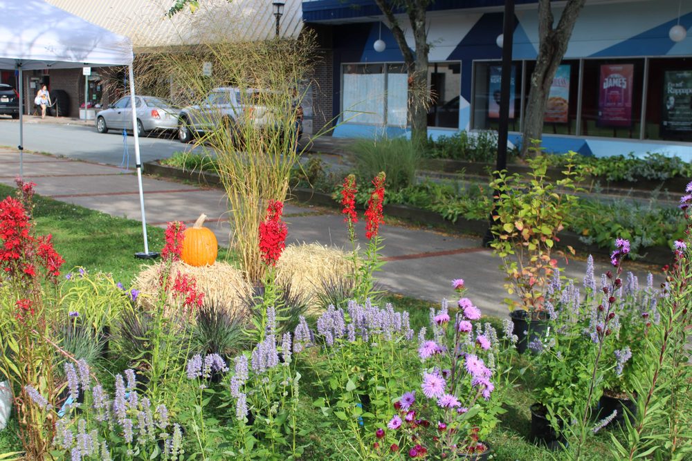 New York Flower Farm - beekeeping in Ellenville, NY