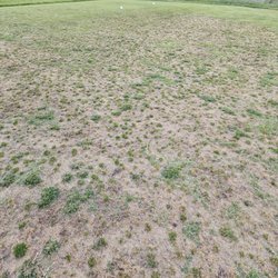 Tiffany Greens Golf Club