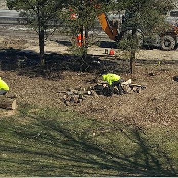 Buddy's Tree Service - Almost done! - Tree Services Near Me - Hanover Park, Illinois Buddy's Tree Service - Almost done! - Tree Services Near Me - Hanover Park, Illinois
