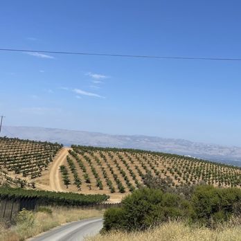 Mount Eden Vineyards - Wineries Near Me - Saratoga, California